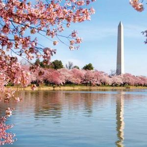 Meet your Posher, Miso